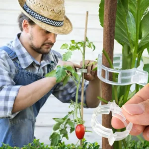 (200 Pcs) Reusable Garden Plant Support Clips for Climbing Vines | ২০০ পিস গাছের সাপোর্ট ক্লিপ